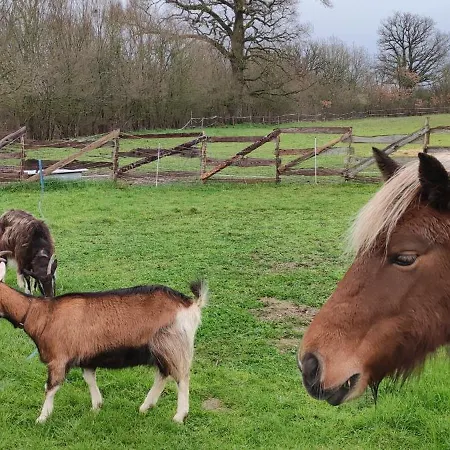 Holiday home Beau Mobilhome Isole, Style De 40m2 *