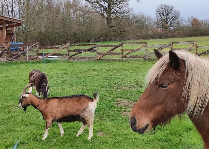 Сasa de vacaciones Beau Mobilhome Isolé, Style De 40m2 *